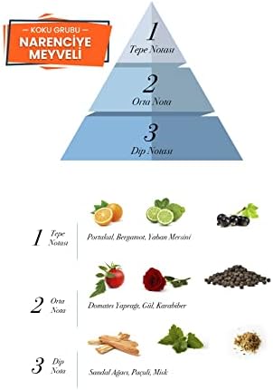 Prova L' EDP Erkek Parfüm 120 ml