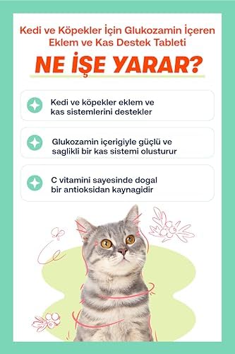 BioFeline Move+G Glucosamine Tablet (Kedi ve Köpekler için Eklem ve Kas Desteği)