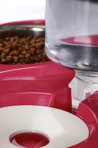 Miapet Hazneli Kedi-Köpek Mama Ve Su Kabı Seti 1000ml Turuncu
