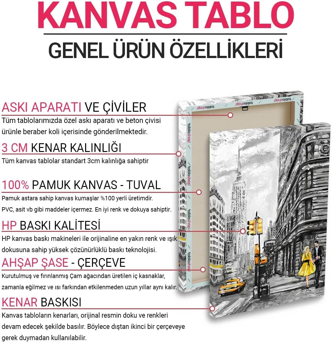 Alternative view of Dünya Haritası Panosu 166 x 83-5 Parçalı