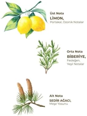 Yağmur Ormanları Kolonyası Sprey 150 ml