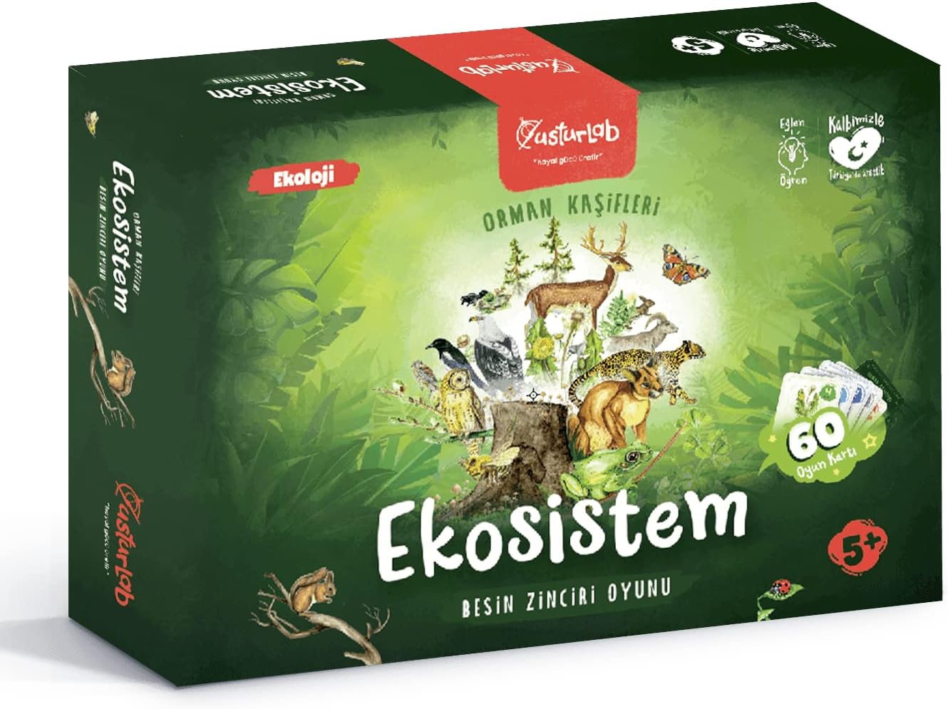 Alternative view of Ekosistem Kart Oyunu: Besin Zinciri Oyunu