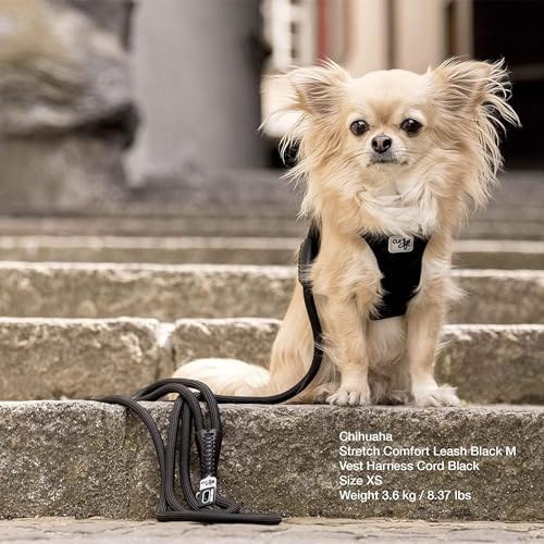 Curli Stretch Leash Ruby M