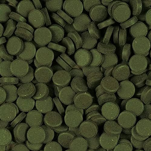 Süper Spirulina Tablet Yem 100 Adet