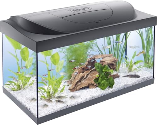 Starter 54 l akvaryum komple set – gündüz ve gece lambası LED aydınlatma, iç filtre, ısıtıcı, balık yemi ve su hazırlama cihazı dahil