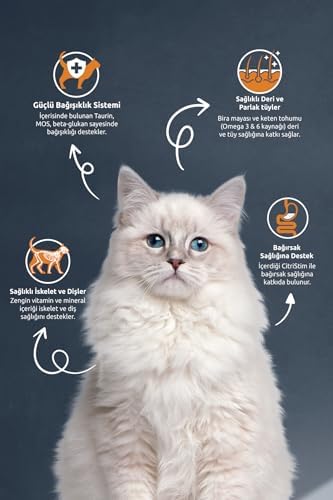Alternative view of Reflex Somonlu ve Hamsili Yetişkin Kedi Maması 2 Kg