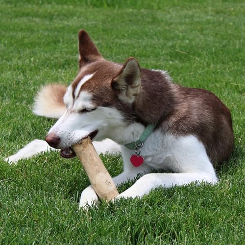 Alternative view of Ethical Pet Products 68054714: Oyuncak Kahve Ahşap Köpek Çiğneme Md