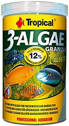3 Algae Granulat 100gr Kovadan Bölme