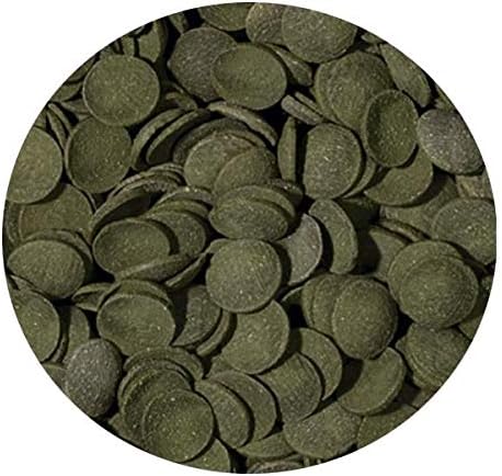 Alternative view of Green Algae Wafers 100gr Kovadan Bölme
