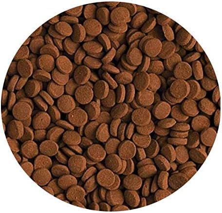 Alternative view of Carnivore 250gr Kovadan Bölme