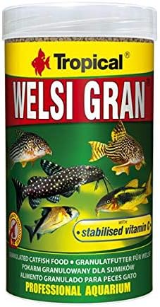 Welsi Gran 100gr Kovadan Bölme