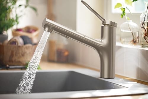 Zesis Modern Mutfak Bataryası 1 Saplı 22,86 cm Uzunluğunda Çıkarılabilir Püskürtücü 1,75 GPM Paslanmaz Çelik Görünümlü, 74800801