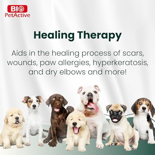 Alternative view of Bio PetActive Bio Pet Paw Nose Care Köpek Pati ve Burun Kremi 50 gr