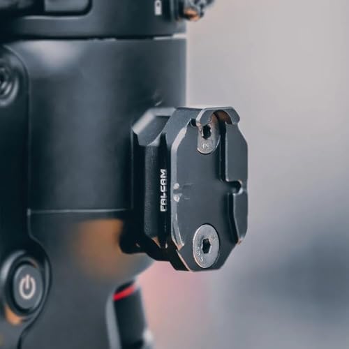 Alternative view of F22 DJI Ronin Panel
