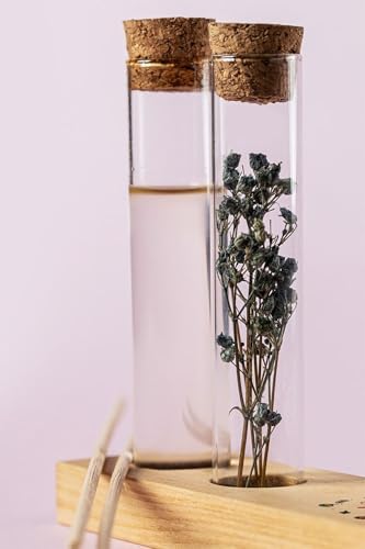 Yılbaşı Tasarımlı Dekoratif Set - Bambu Oda Kokusu Şişesi