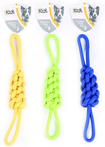ALLY PAWS KÖPEKLER İÇİN DİŞ İPİ 33CM