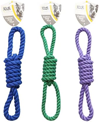 ALLY PAWS KÖPEKLER İÇİN DİŞ İPİ 36CM