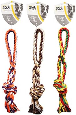 ALLY PAWS KÖPEKLER İÇİN DİŞ İPİ 32CM