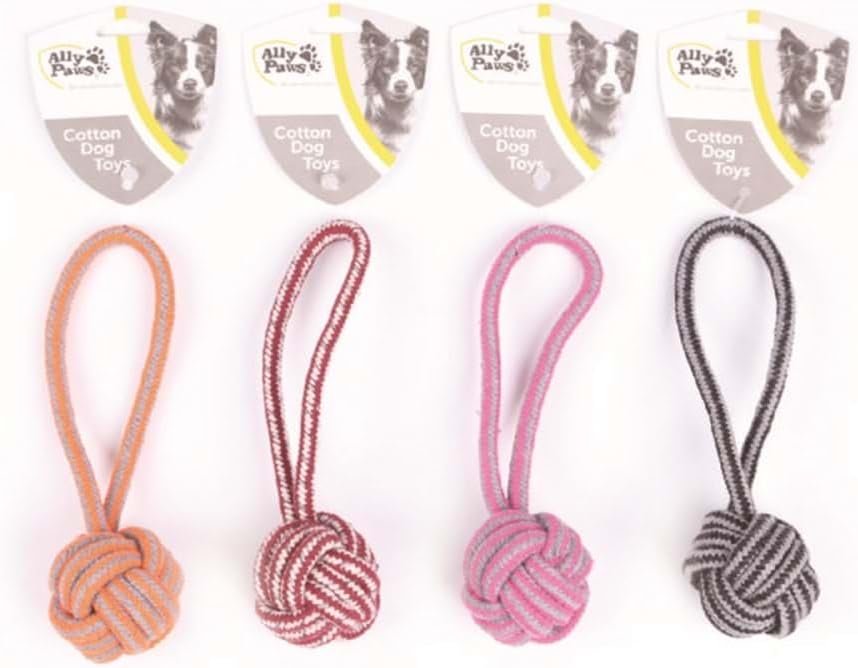 ALLY PAWS KÖPEKLER İÇİN DİŞ İPİ 20CM