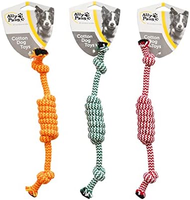 ALLY PAWS KÖPEKLER İÇİN DİŞ İPİ 25CM