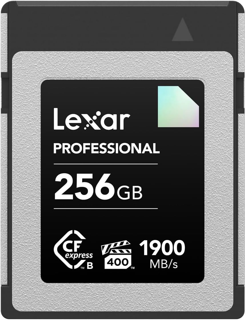 Serisi Profesyonel 256GB CFexpress Tip-B Hafıza Kartı, (LCXEXDM256G-RNENG)