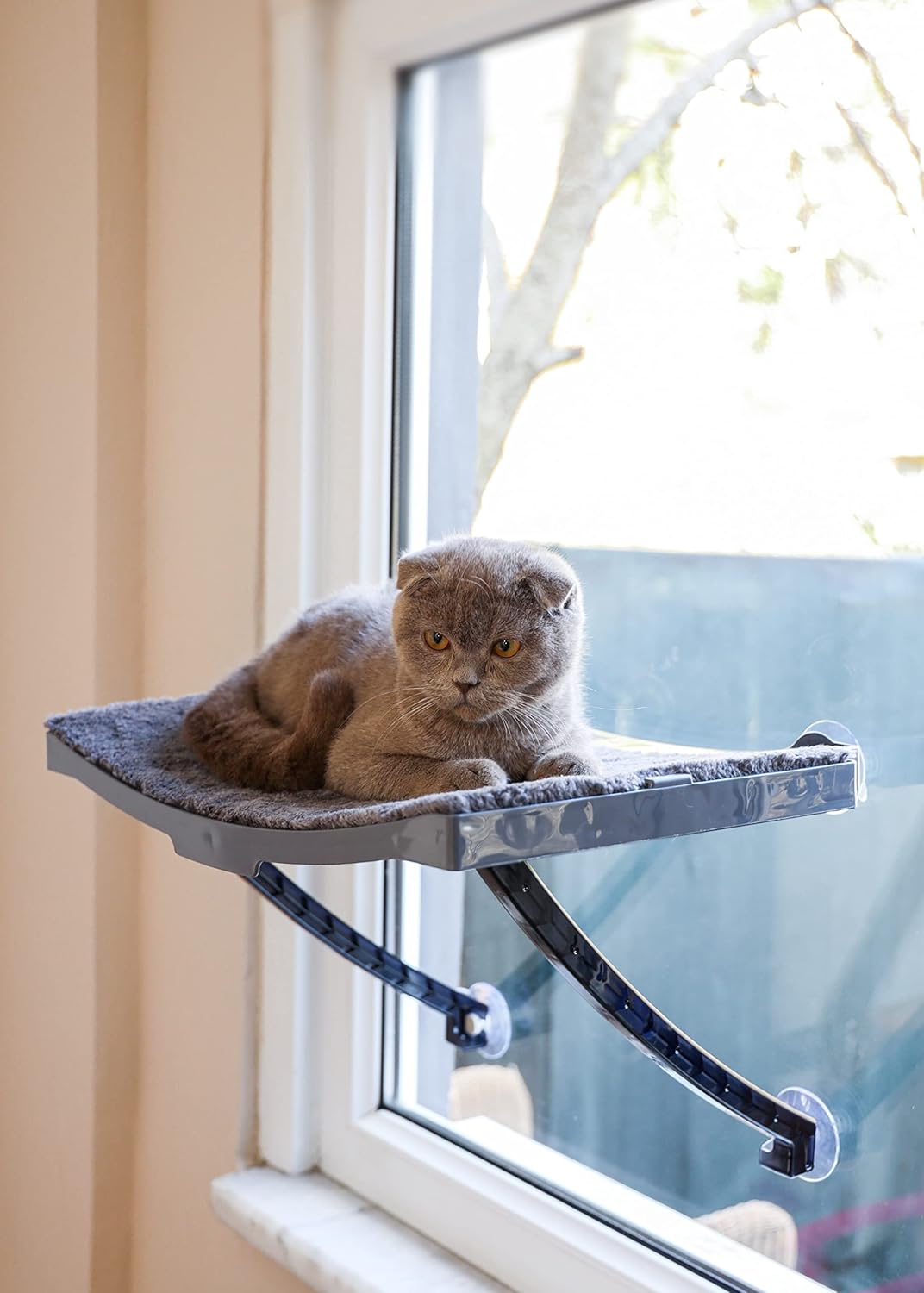 Alternative view of Yeni Model Cam Ve Duvar İçin Kedi Yatağı Vantuzlu