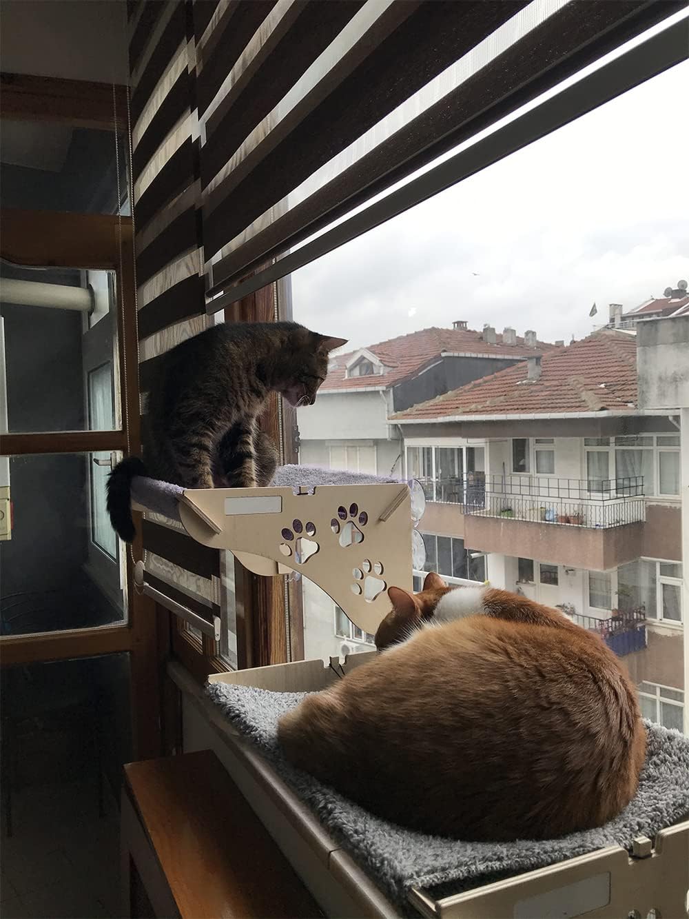 Alternative view of Büyük Boy Ahşap Yapışan Kedi Yatağı Vantuzlu