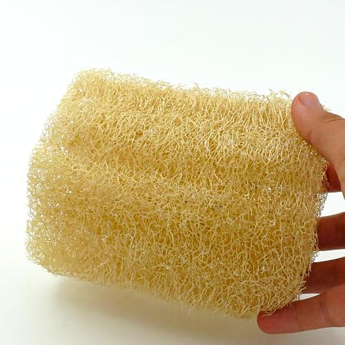 Soap Doğal Kabak Bulaşık Süngeri 10 cm Doğal Lifler Anti-Bakteriyel 1 Adet
