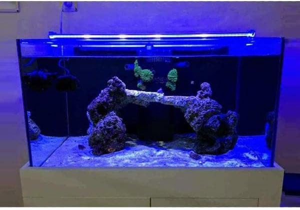 OrionLed Akvaryum Led Aydınlatma Mavi 80Cm