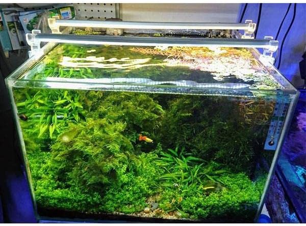 OrionLed Akvaryum Led Aydınlatma Beyaz 80Cm 6500K