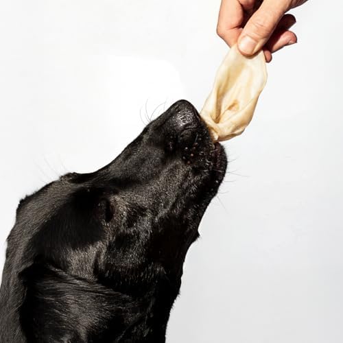 Alternative view of Kito Kurutulmuş Kuzu Kulak Çiğnemelik Köpek Ödül Maması %100 Doğal, Glutensiz, Organik 100 gr
