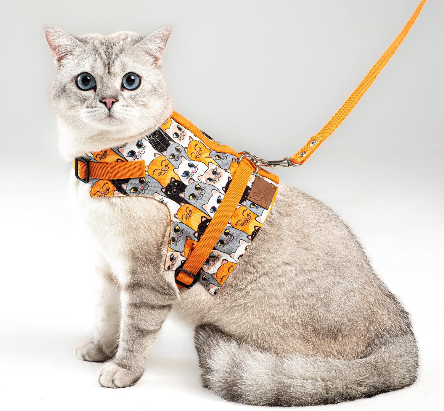 Kaçış Önleyici Kedi Gezdirme Tasması Ve Küçük Irk Köpek Gezdirme Tasması (M, Turuncu Kedi Desenli)