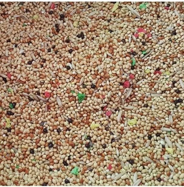 BirdMozz Muhabbet Kuşu Yemi 1 Kg