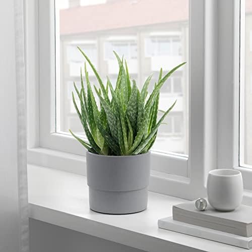 Alternative view of Nypon bitki saksısı, 12 cm, açık hava gri