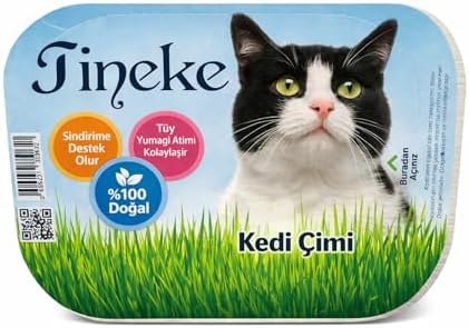 %100 Doğal Fileli Kedi Çimi (Tüy Yumağı Önleyici)