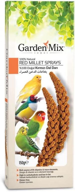 Gardenmix Platin Kırmızı Dal Darı Yeni Hasat