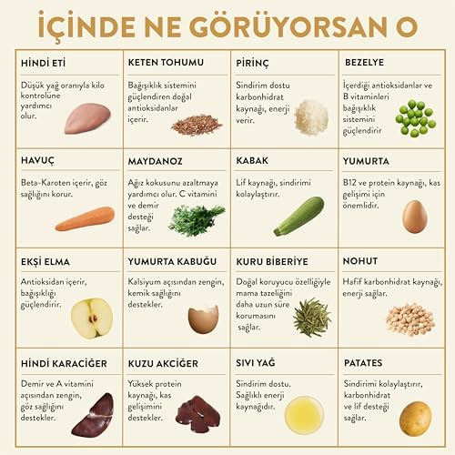 Alternative view of Kito Fresh Hindi Etli Köpek Yemeği%100 Taze İçerikli Mama 250 gr