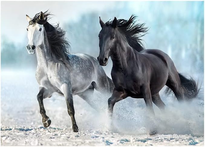 Alternative view of Blue Focus 1000 Parça Puzzle - Horses (Atlar)