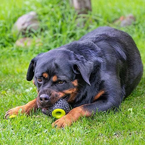Alternative view of CHEWA BOING BALL Yeniden Doldurulabilir Köpek Oyuncağı Süper Zıplayan ve Yüzen - Çiğnemeye Dayanıklı Malzeme - Diş Hijyeni İçin 3D Doku - Ultra Dayanıklı - İtalyan Tasarımı - Beden L, Siyah