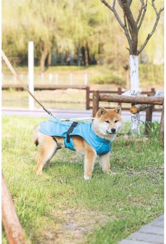 Alternative view of DOG RAIN COAT YAĞMURLUK (XL)