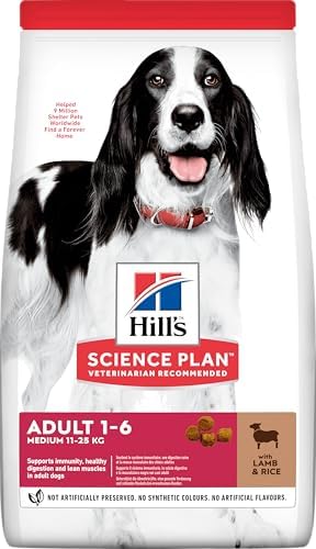 Hill's Plan Yetişkin Orta Irk Kuzulu ve Pirinçli Köpek Maması 12 + 2 Kg
