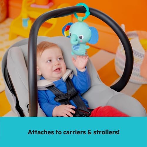 Bright Starts Wiggles Bebek Jimnastik Aktivitesi Ve Katlanır Oyun Minderi Oyuncak Çubuğu, Yenidoğan Ve Daha Büyük Bebekler İçin, Yeşil