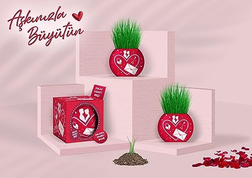 Alternative view of Aşk Temalı 6'lı Çim Adam Bitki Yetiştirme Seti – Romantik ve Eğlenceli Hediye