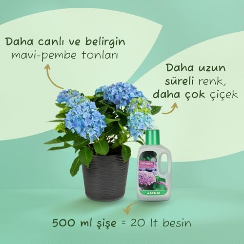 Ortancalar ve Açelyalar İçin Sıvı Besin Gübre 500 ml