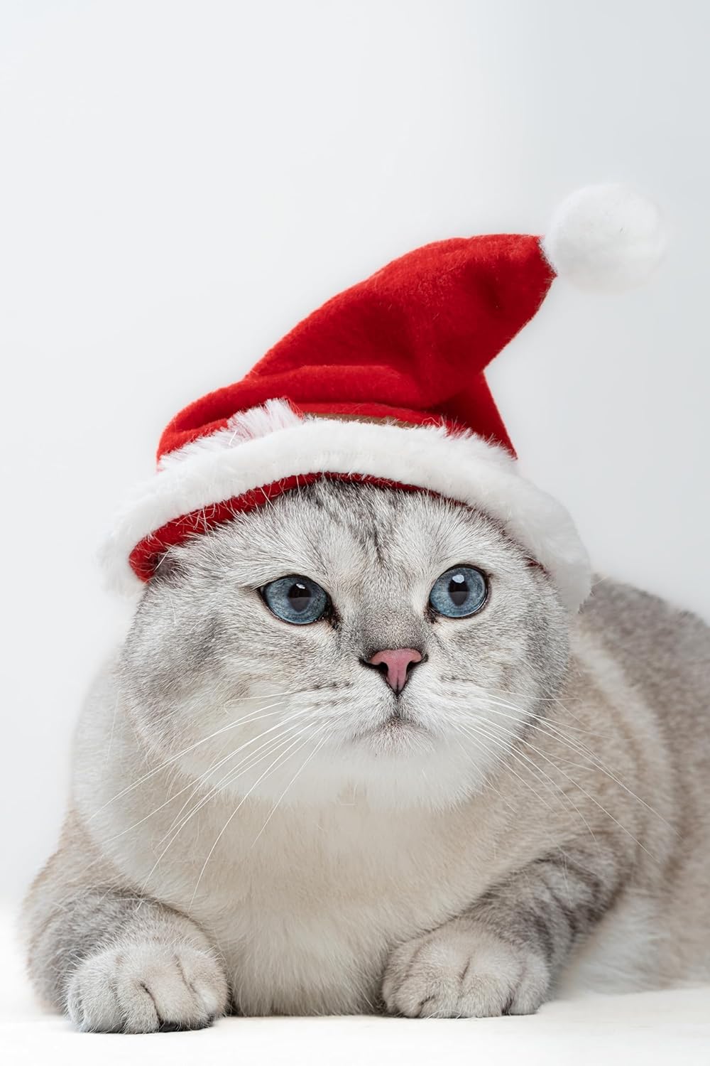Yeni Yıl Kedi Şapkası Lastikli Yılbaşı Şapkası Yetişkin Kedi (Yetişkin)