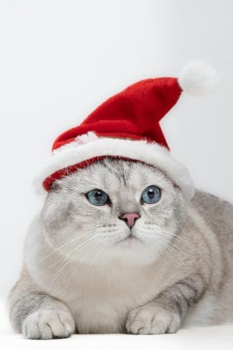 Alternative view of Yeni Yıl Kedi Şapkası Lastikli Yılbaşı Şapkası Yetişkin Kedi (Yetişkin)