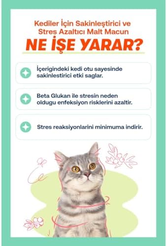 Biofeline Rahatlatıcı Macun 100g ve Kediler İçin Günlük Strese Karşı Rahatlık Sağlayan Sakinleştirici Macun