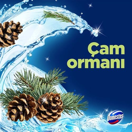 Domestos Tuvalet Bloğu Çam Ormanı 5'li Güç, 250 Gram
