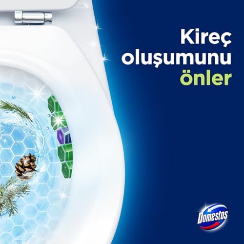 Alternative view of Domestos Tuvalet Bloğu Çam Ormanı 5'li Güç, 250 Gram