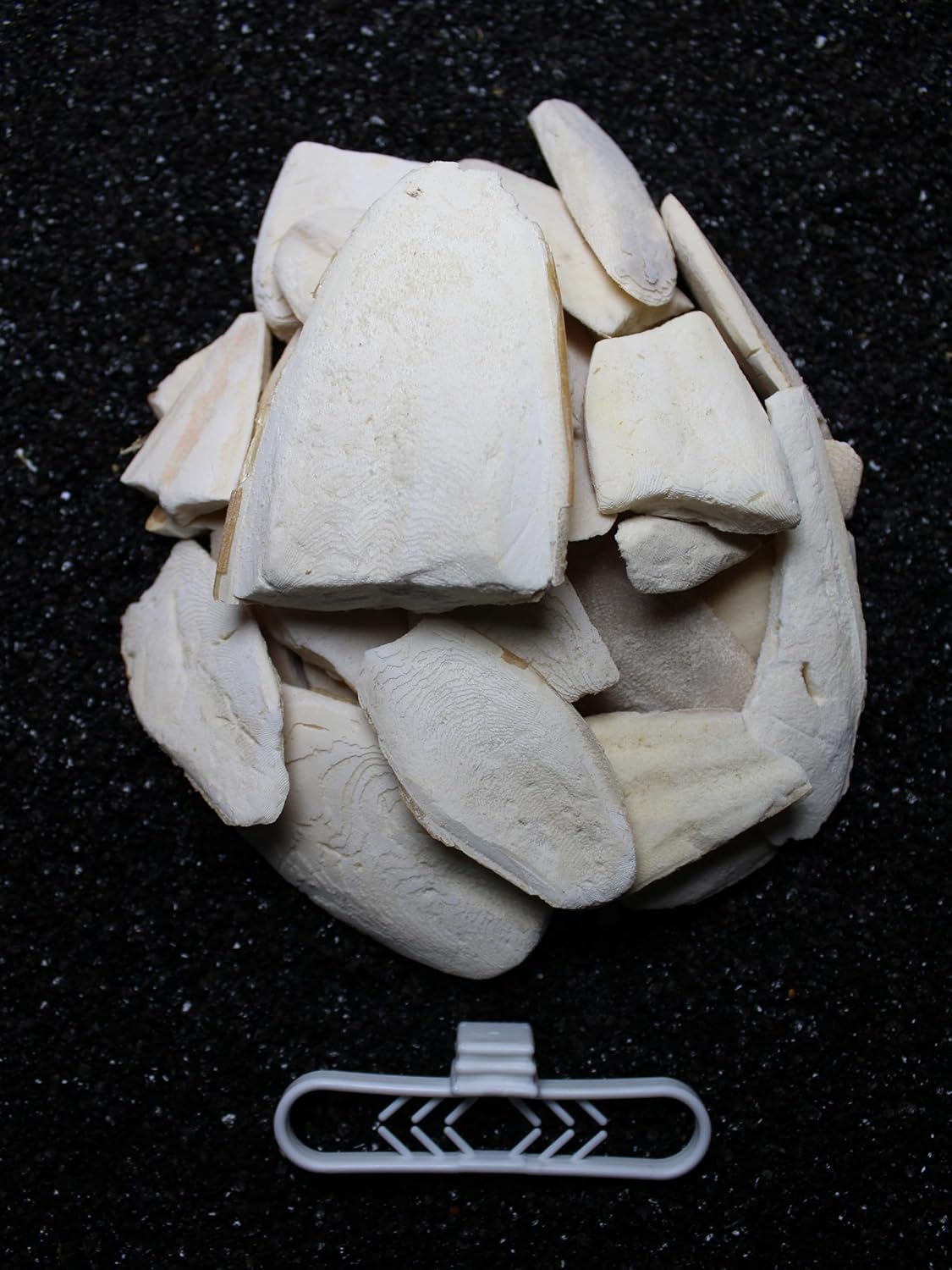 Alternative view of 1. Kalite Temizlenmiş Kırık Kalamar Kemiği 100 gr + Tutacak